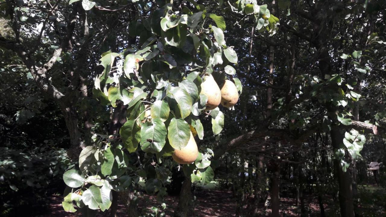 Prinsenbeek Farmer'S Suite المظهر الخارجي الصورة